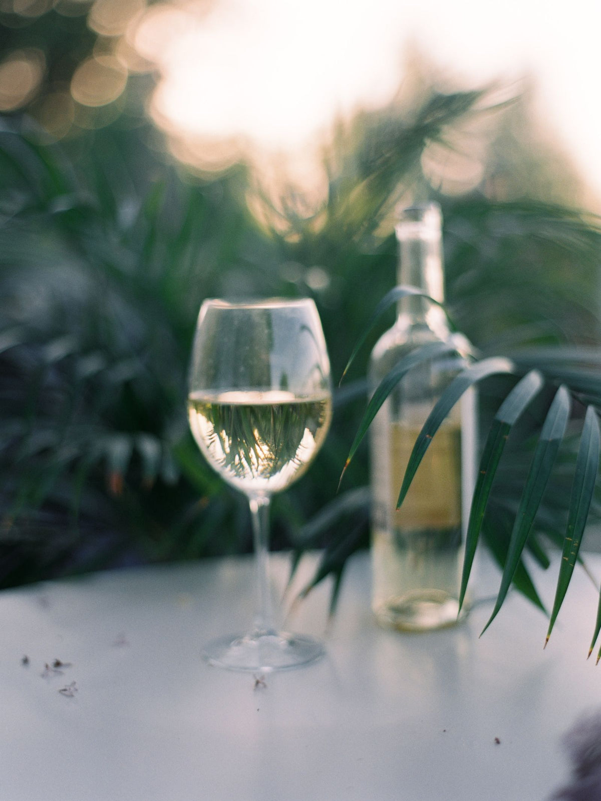 A glass of white wine poured on a table in a lush tropical outdoor setting
