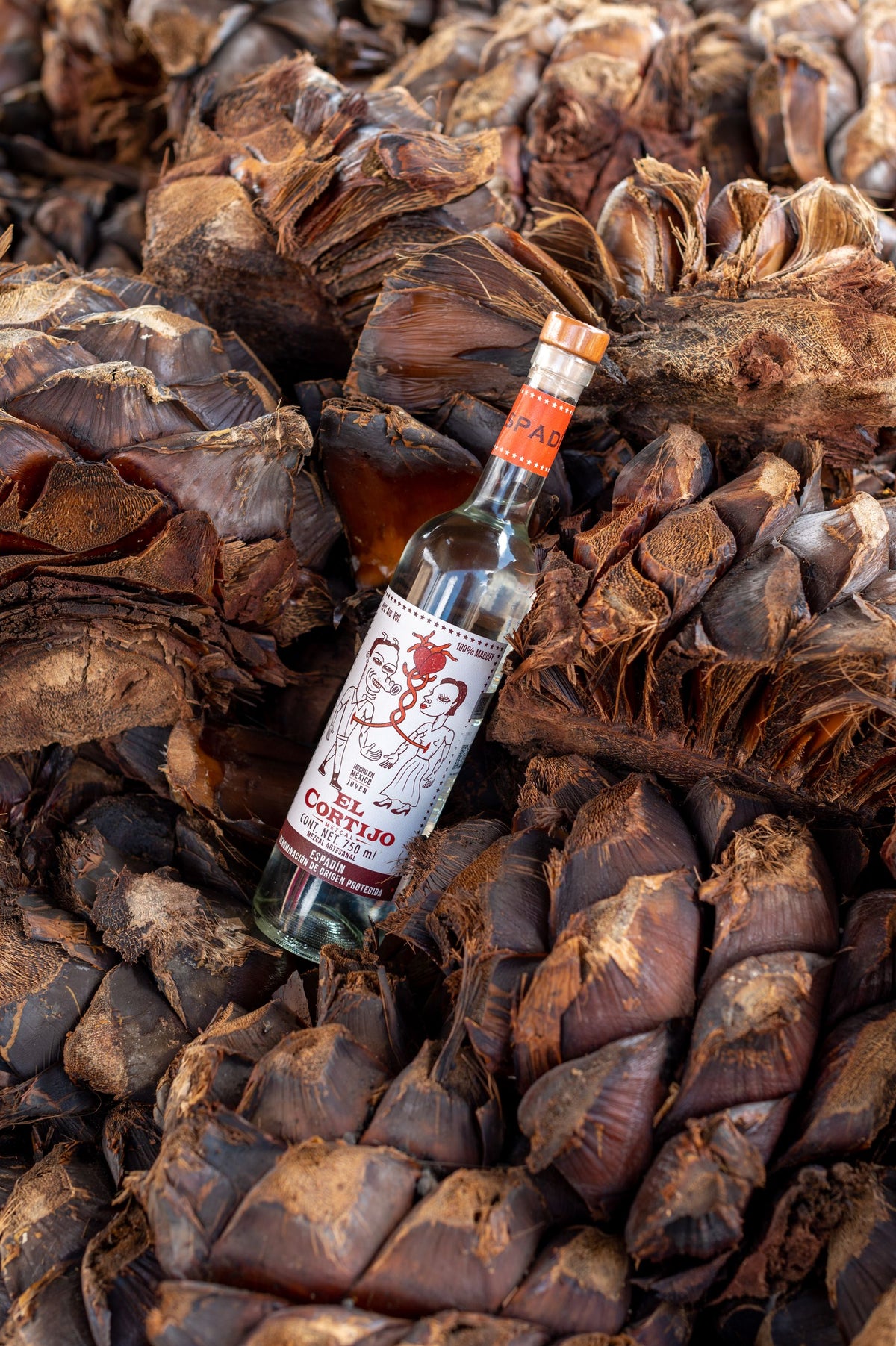 A mezcal bottle standing among agave plants