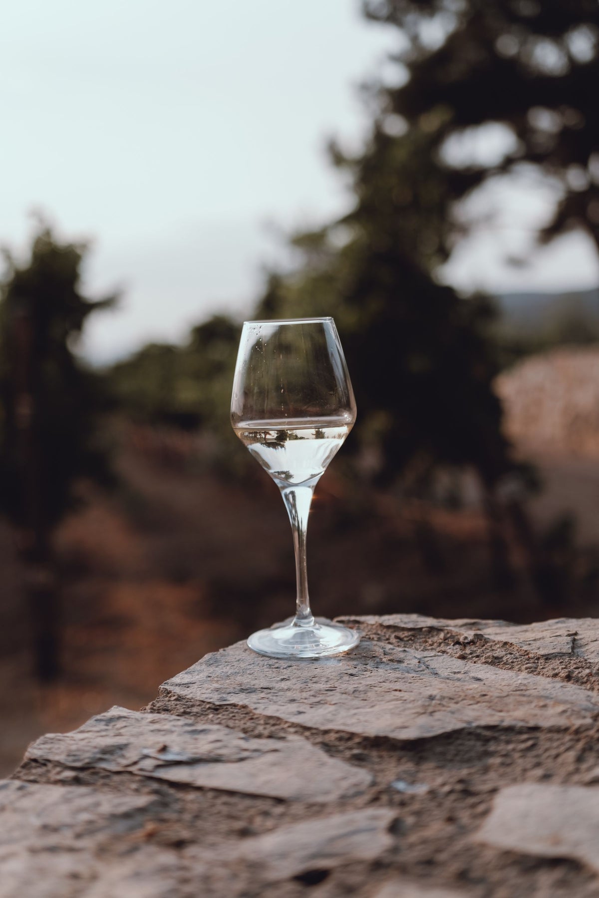 A glass of white wine on a stone ledge with vines behind it
