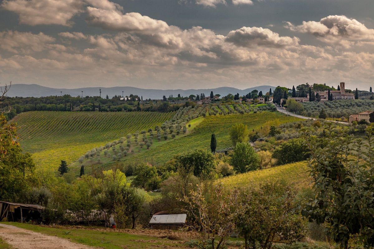 Rolling Tuscan hills covered in vineyards with a hilltop village under dramatic clouds