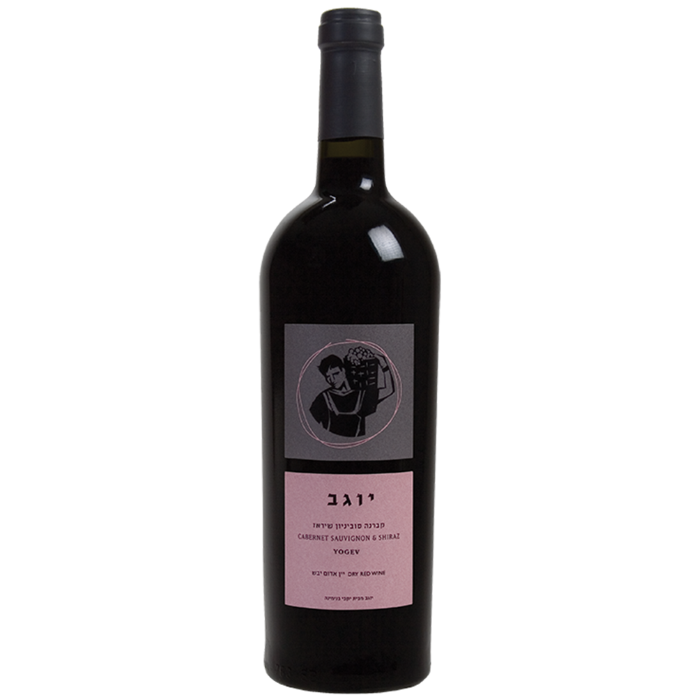 Binyamina Yogev Cabernet/Shiraz 2018 Kosher Red Wine - (750ml)