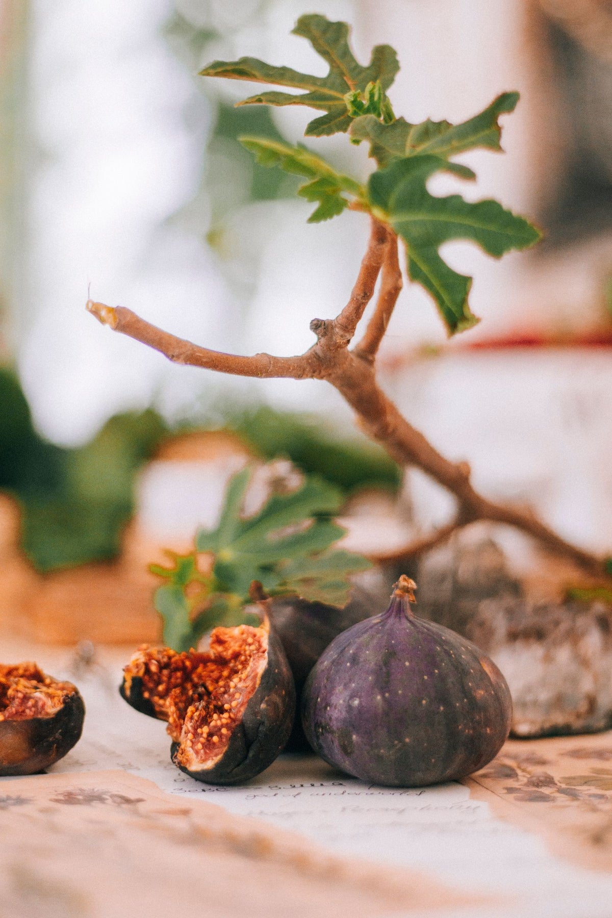 Ripe purple figs, one split open to the red centre, beside a fig branch on a wooden table
