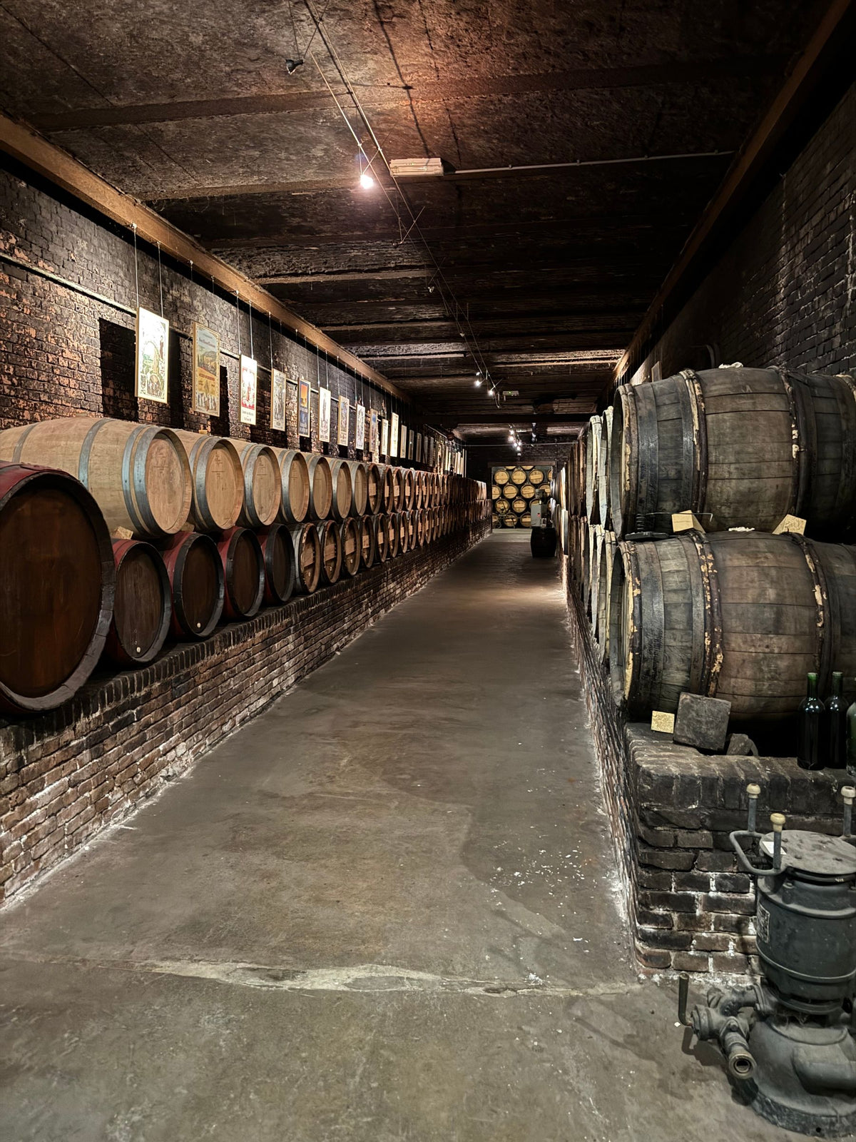 A long historic wine cellar lined with oak ageing barrels under low lighting