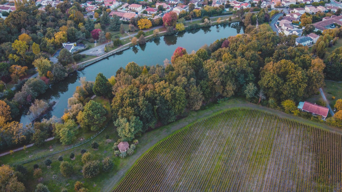Aerial view of Bordeaux vineyards and a river in autumn colours