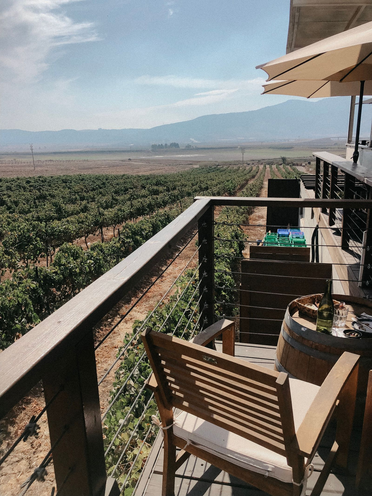 A tasting deck looking out over vine rows and dry hills at an Israeli winery