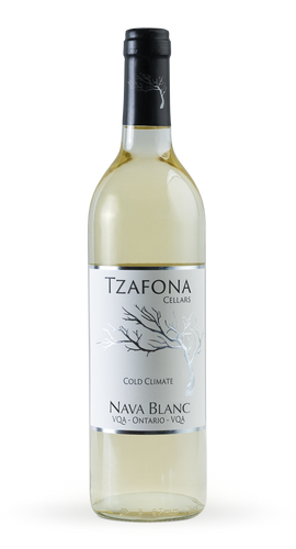 Tzafona Nava Blanc