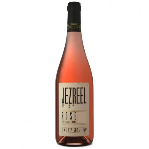 Jezreel Valley Rose 2019